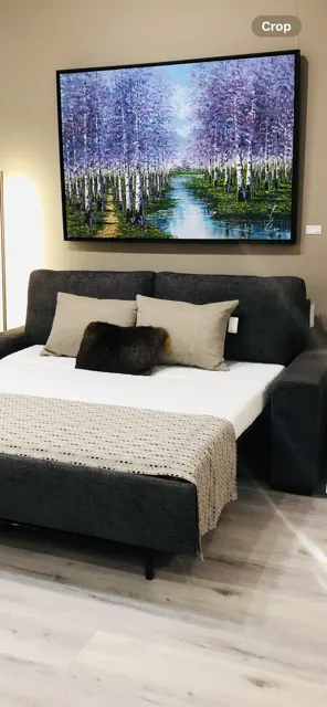 FLOOR MODELS + Double Bed