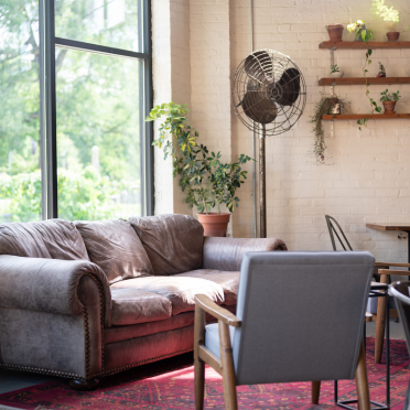 Area Rugs - Element Homes